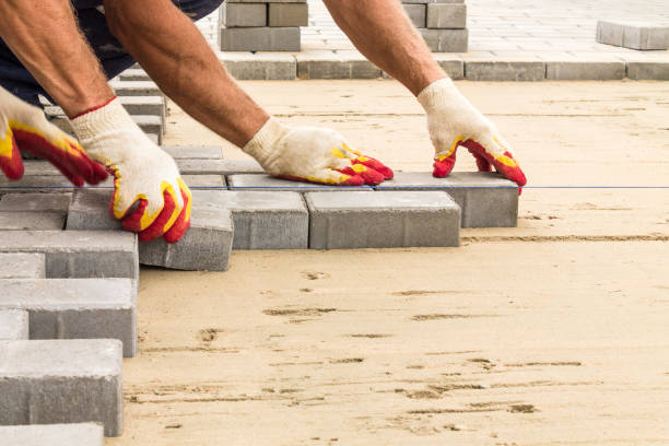 Best Professional Driveway Pavers  in Blaine, TN