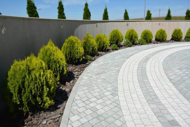 Best Local Driveway Pavers  in Blaine, TN